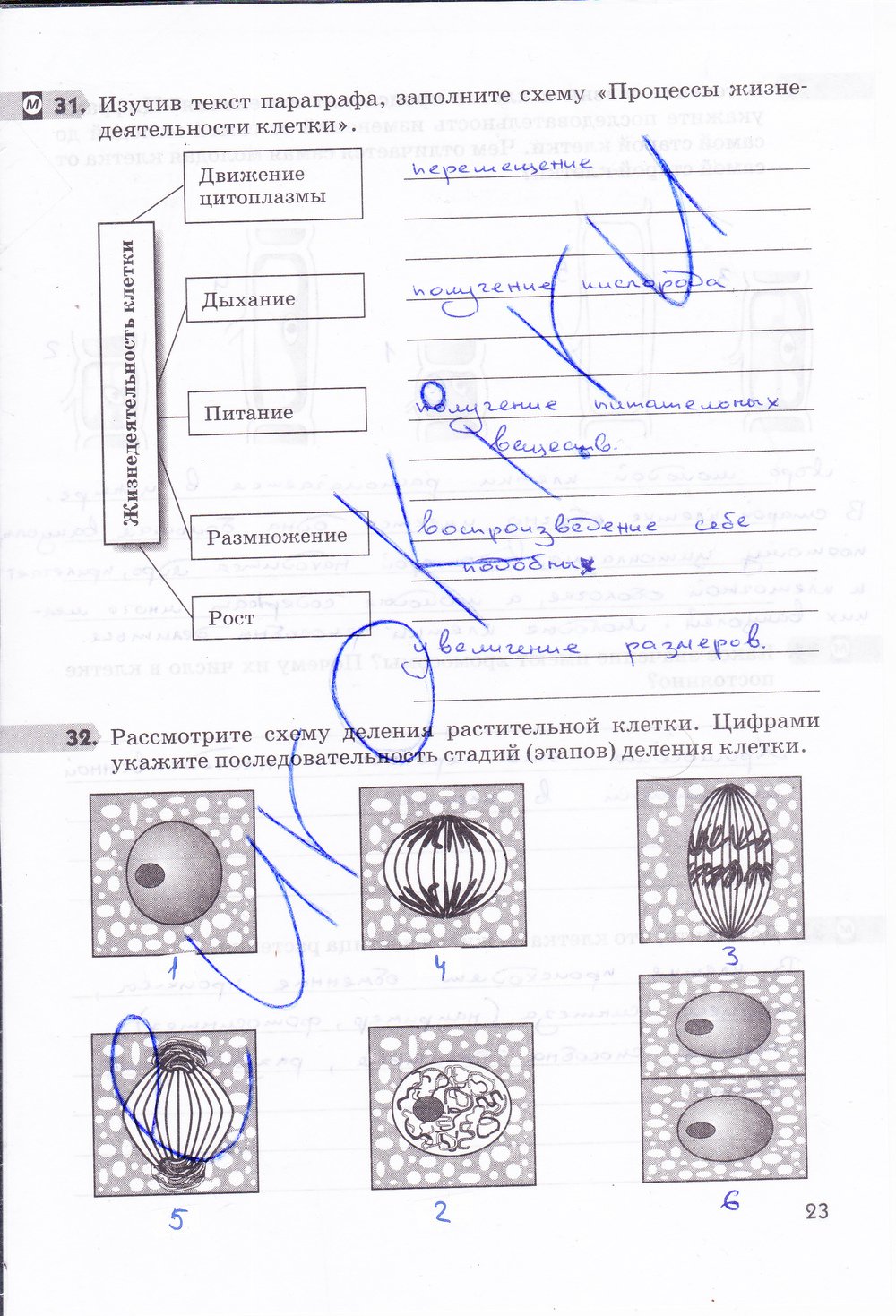 гдз 5 класс рабочая тетрадь страница 23 биология Пасечник