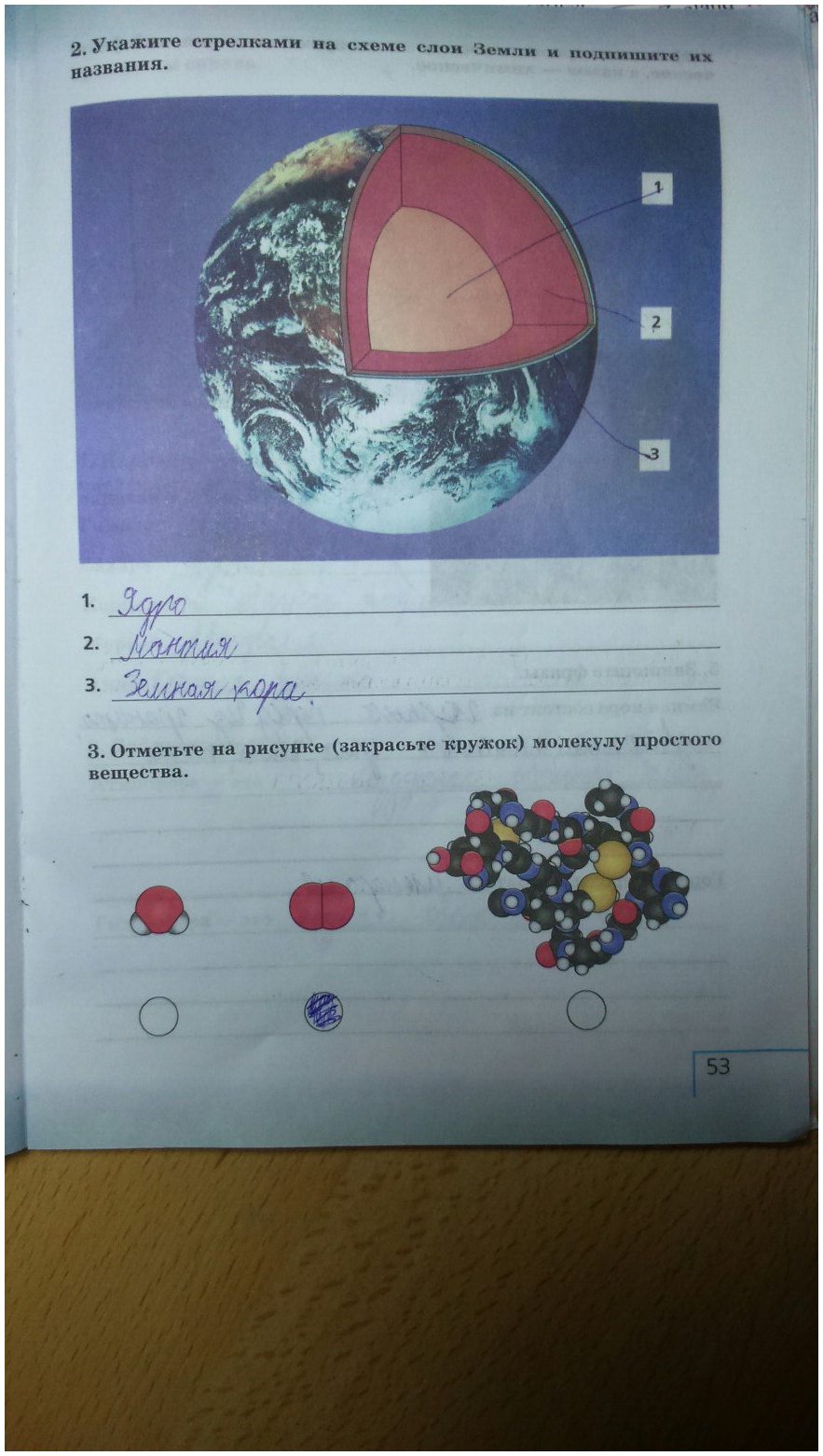 гдз 5 класс рабочая тетрадь страница 53 естествознание Плешаков, Сонин