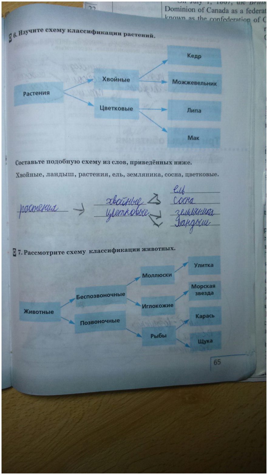 гдз 5 класс рабочая тетрадь страница 65 естествознание Плешаков, Сонин