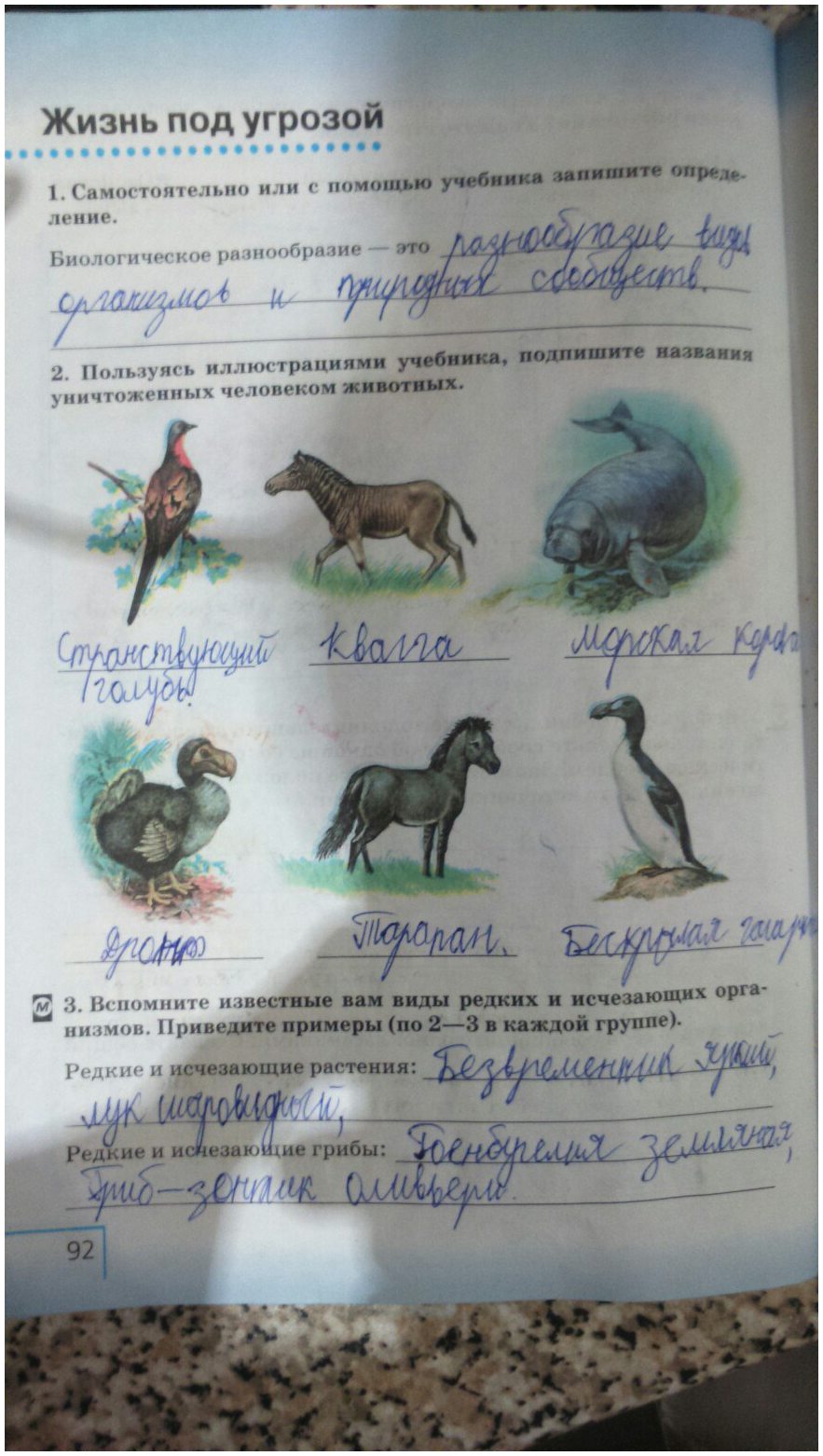 гдз 5 класс рабочая тетрадь страница 92 естествознание Плешаков, Сонин