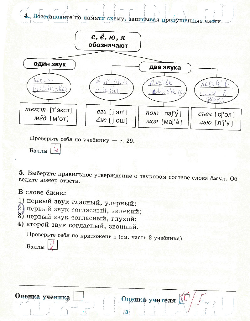 гдз 5 класс рабочая тетрадь страница 13 русский язык Прохватилина