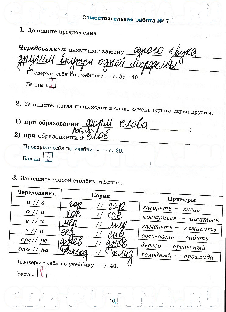 гдз 5 класс рабочая тетрадь страница 16 русский язык Прохватилина
