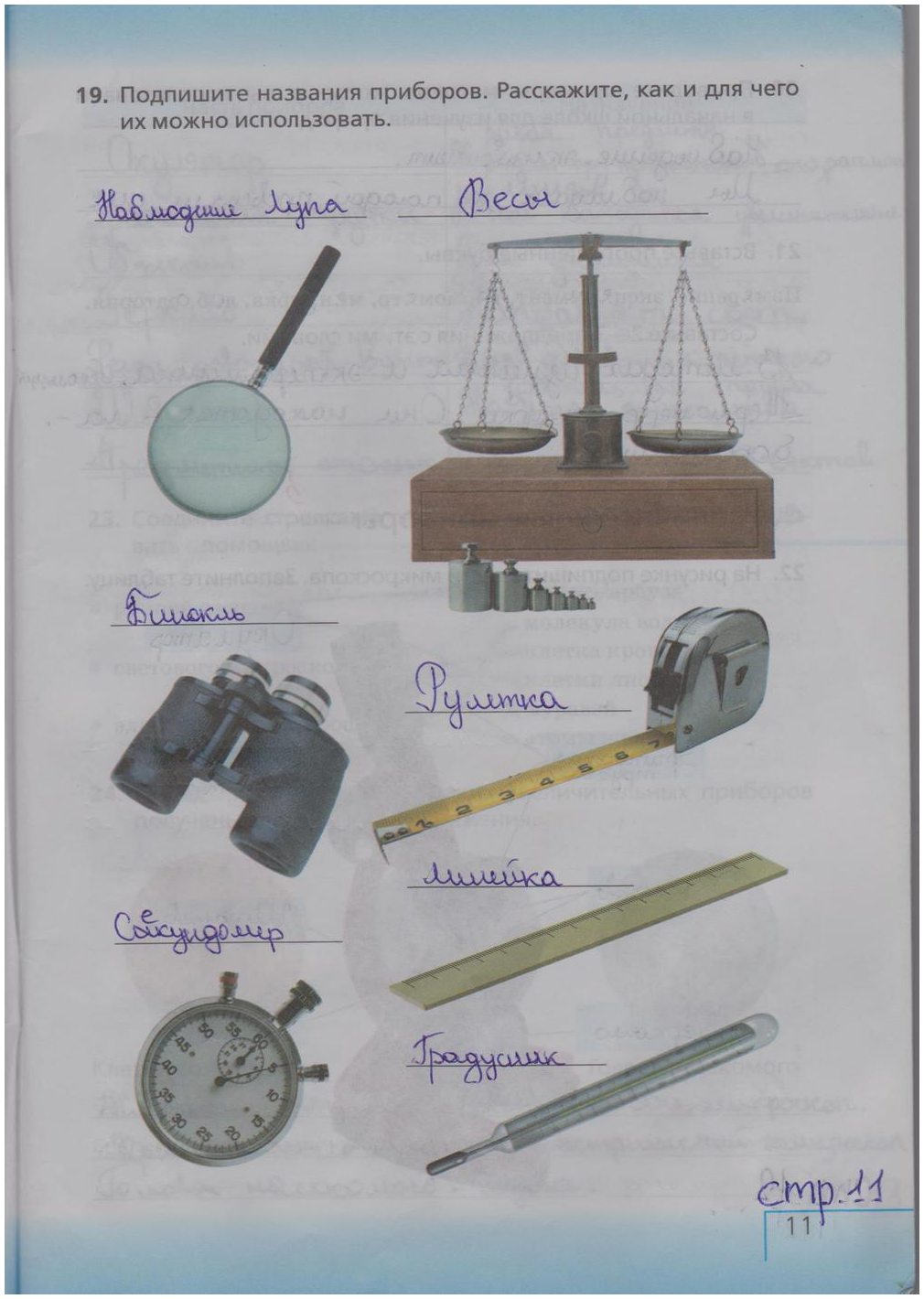 гдз 5 класс рабочая тетрадь страница 11 биология Сонин, Плешаков