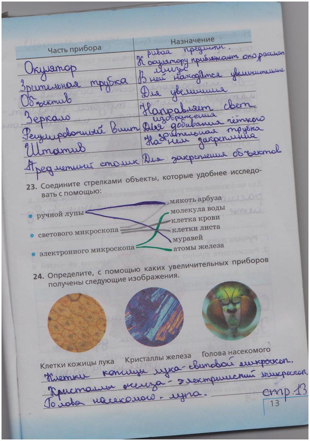 гдз 5 класс рабочая тетрадь страница 13 биология Сонин, Плешаков