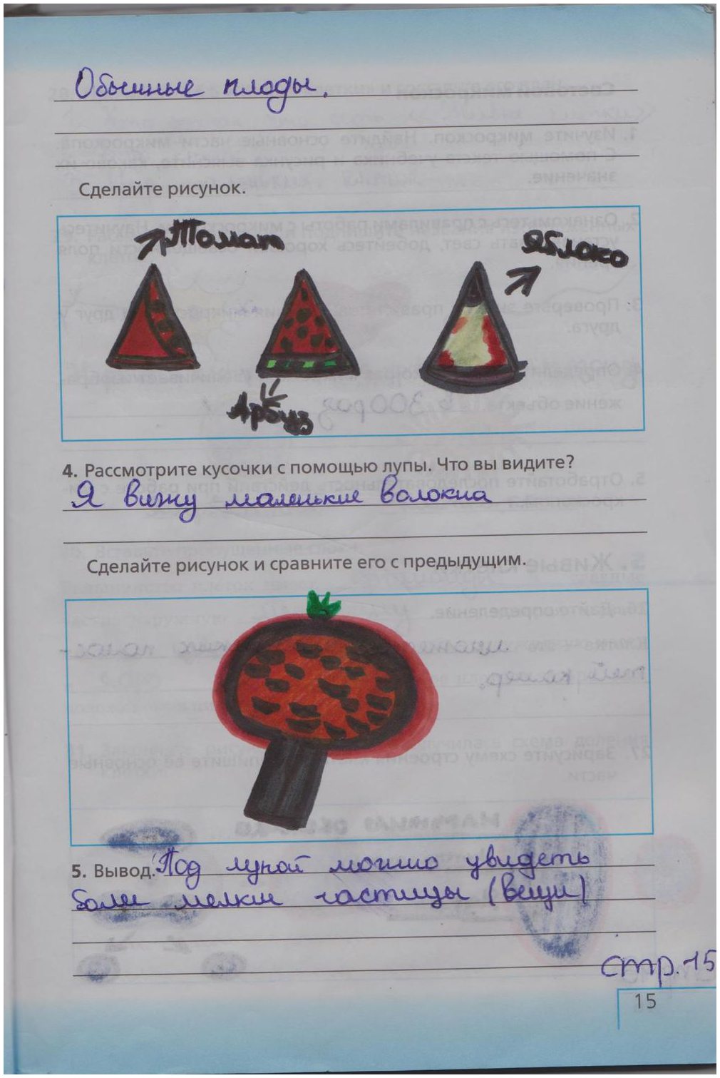 гдз 5 класс рабочая тетрадь страница 15 биология Сонин, Плешаков