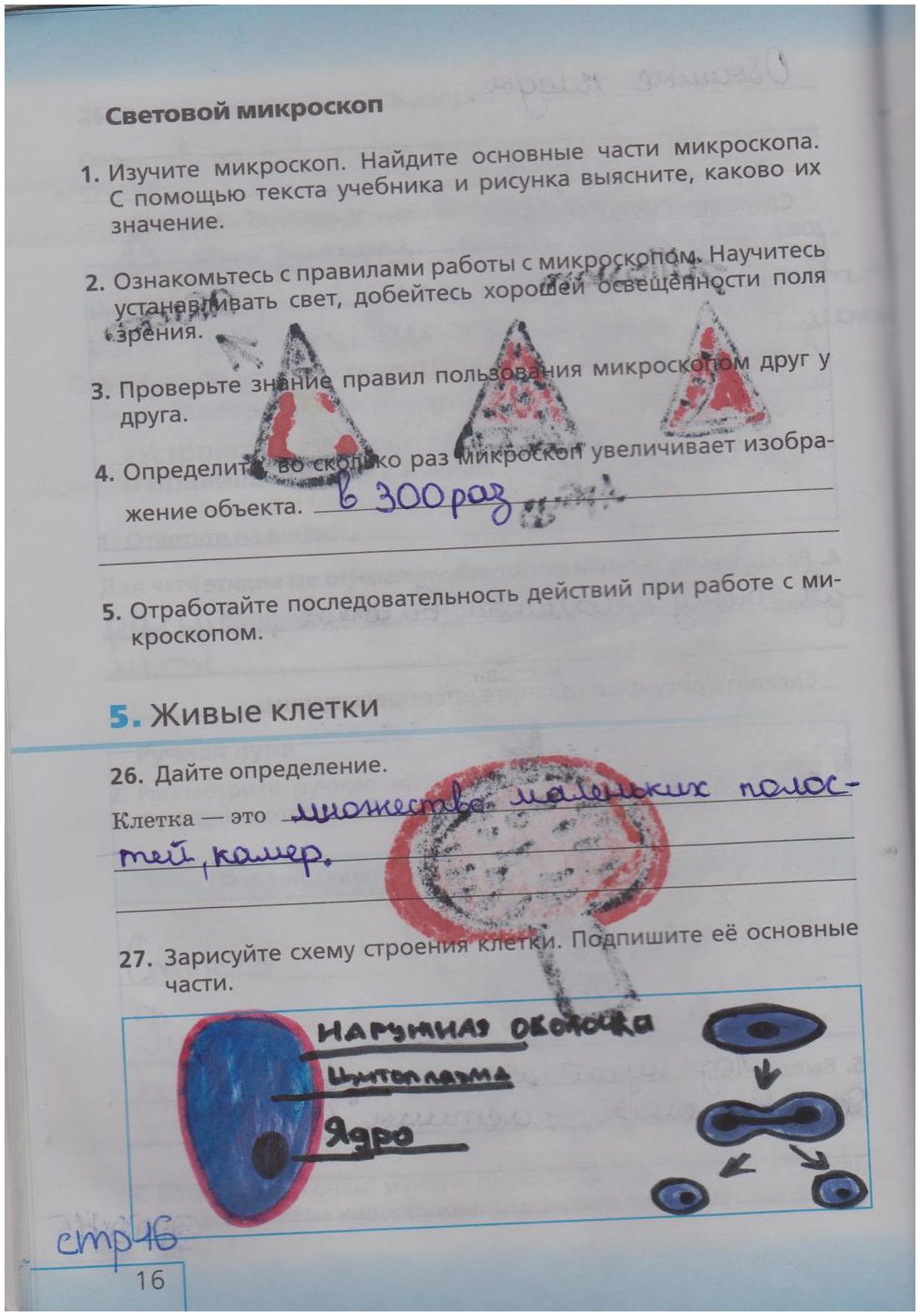 гдз 5 класс рабочая тетрадь страница 16 биология Сонин, Плешаков