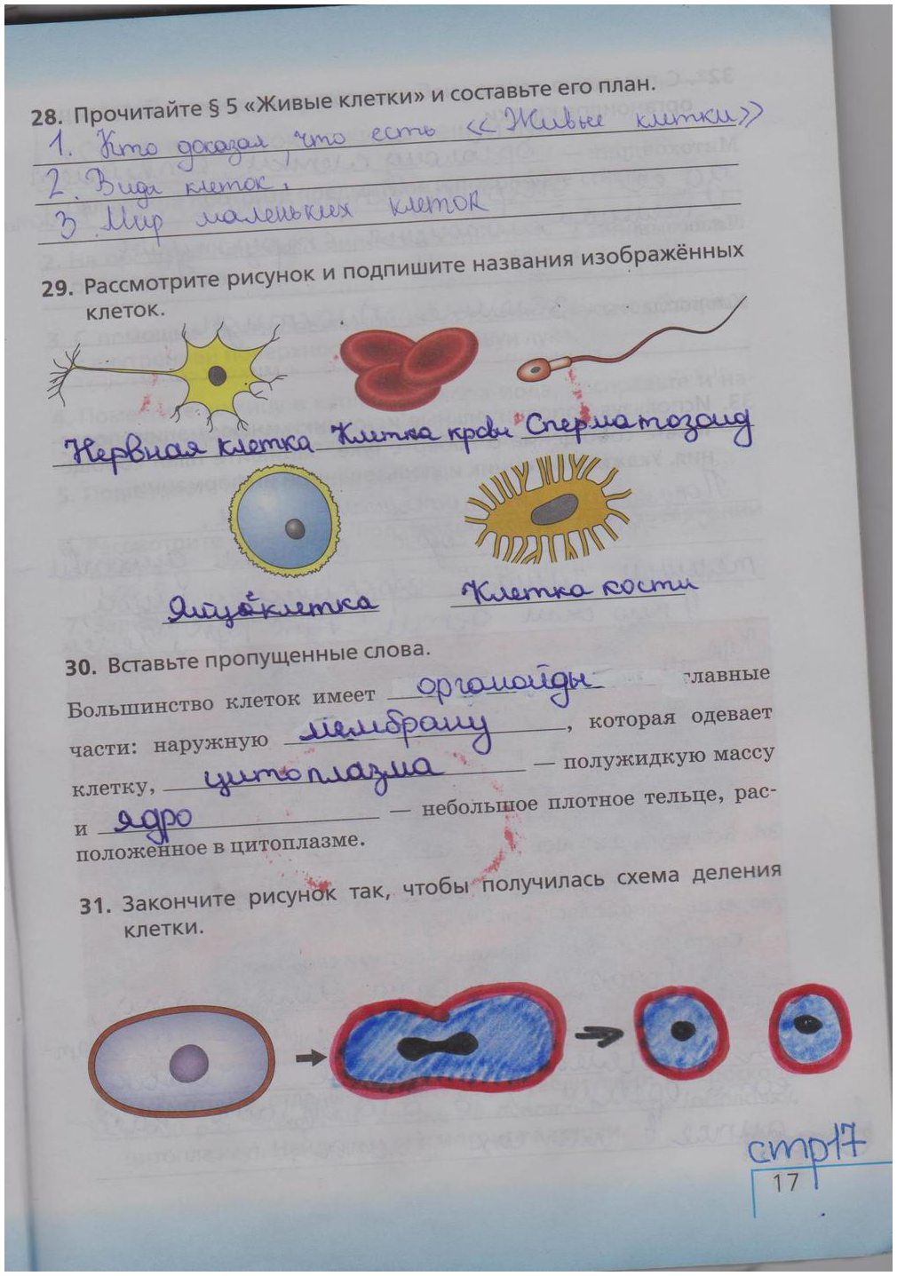 гдз 5 класс рабочая тетрадь страница 17 биология Сонин, Плешаков