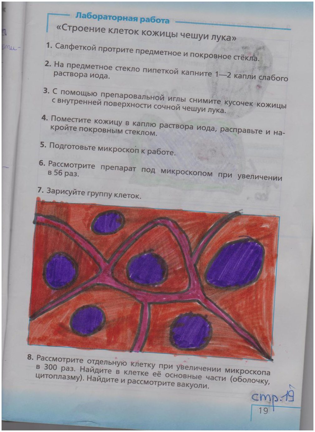 гдз 5 класс рабочая тетрадь страница 19 биология Сонин, Плешаков