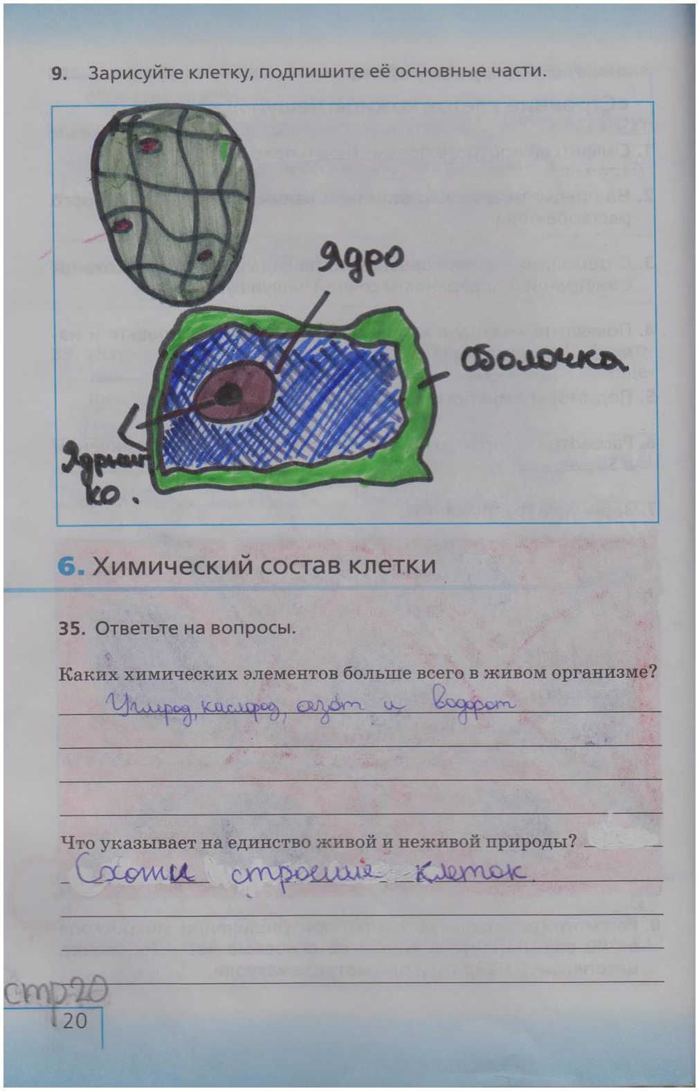 гдз 5 класс рабочая тетрадь страница 20 биология Сонин, Плешаков