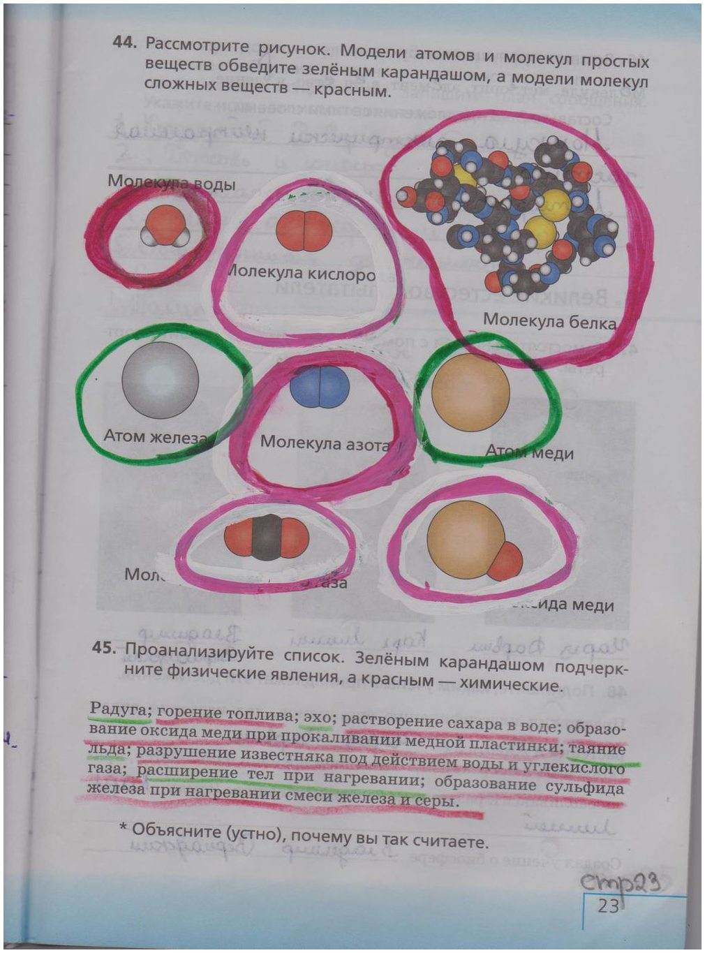 гдз 5 класс рабочая тетрадь страница 23 биология Сонин, Плешаков
