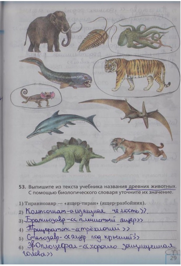 гдз 5 класс рабочая тетрадь страница 29 биология Сонин, Плешаков