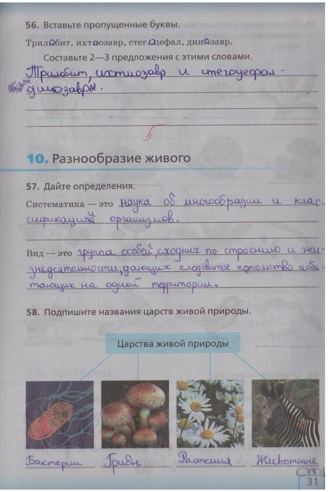 гдз 5 класс рабочая тетрадь страница 31 биология Сонин, Плешаков