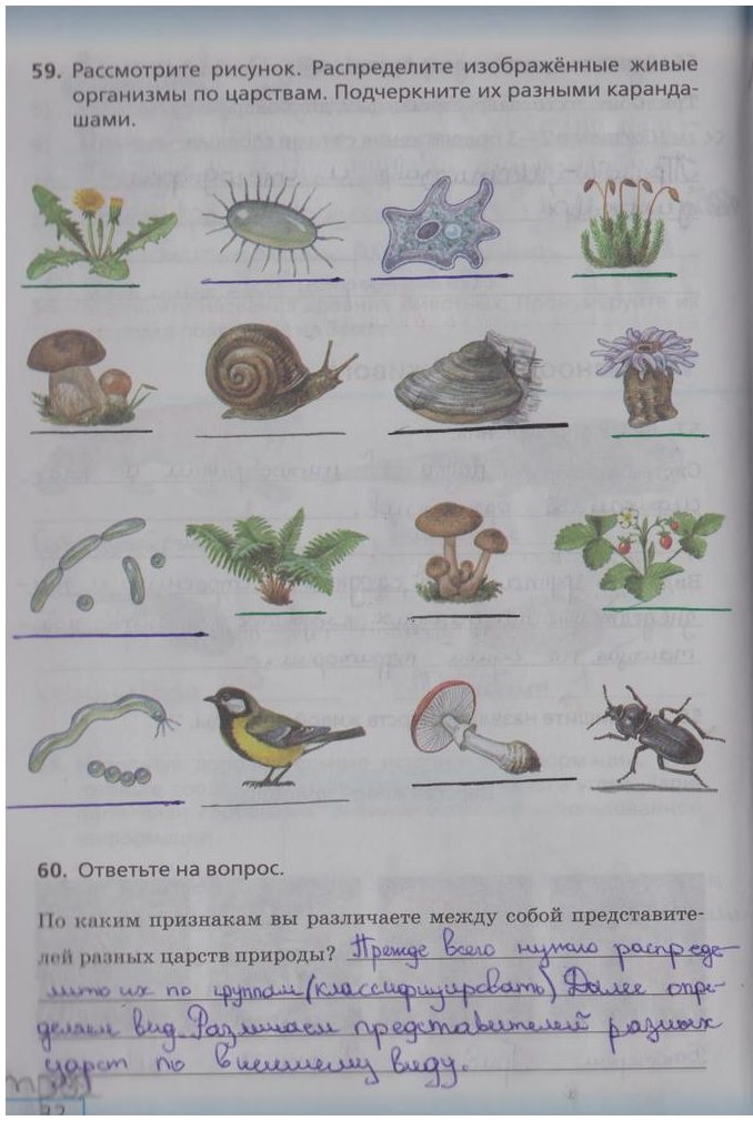 гдз 5 класс рабочая тетрадь страница 32 биология Сонин, Плешаков