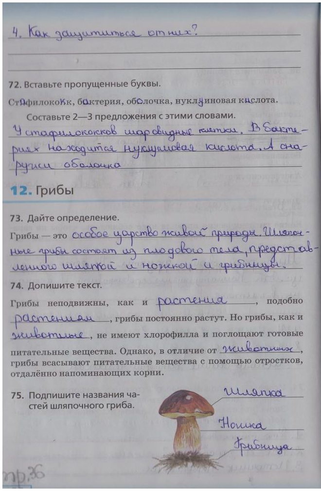 гдз 5 класс рабочая тетрадь страница 36 биология Сонин, Плешаков