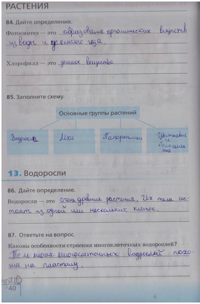 гдз 5 класс рабочая тетрадь страница 40 биология Сонин, Плешаков