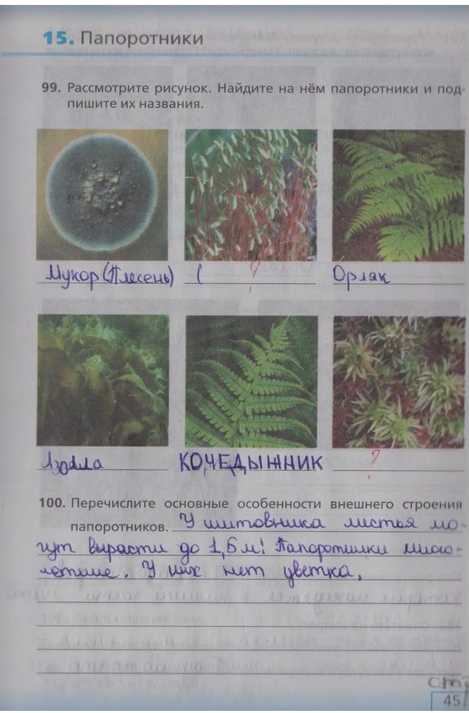 гдз 5 класс рабочая тетрадь страница 45 биология Сонин, Плешаков