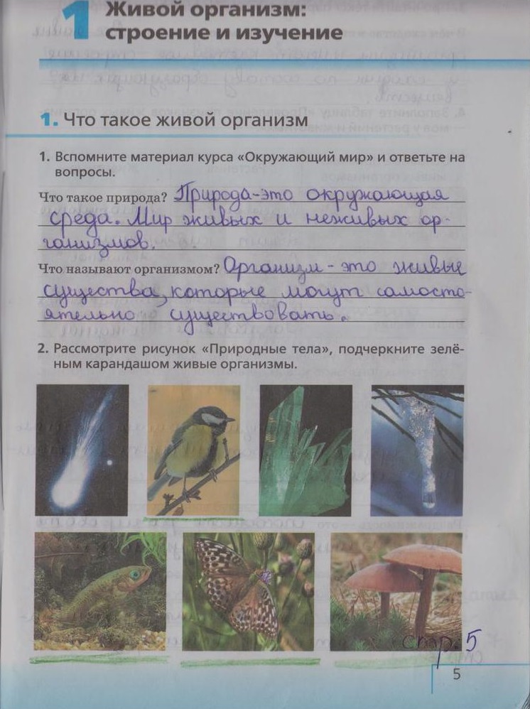 гдз 5 класс рабочая тетрадь страница 5 биология Сонин, Плешаков