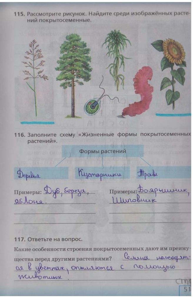 гдз 5 класс рабочая тетрадь страница 51 биология Сонин, Плешаков