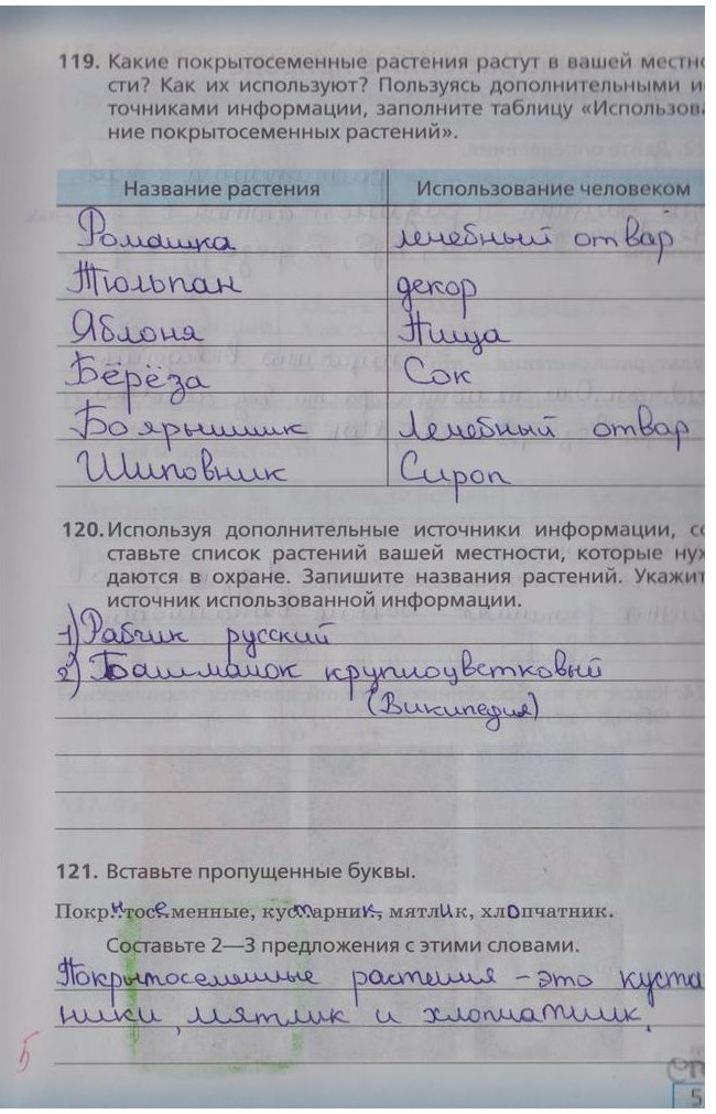 гдз 5 класс рабочая тетрадь страница 53 биология Сонин, Плешаков