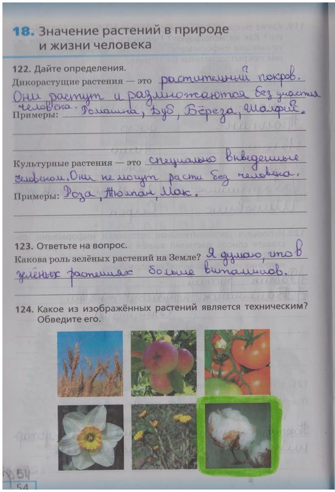 гдз 5 класс рабочая тетрадь страница 54 биология Сонин, Плешаков