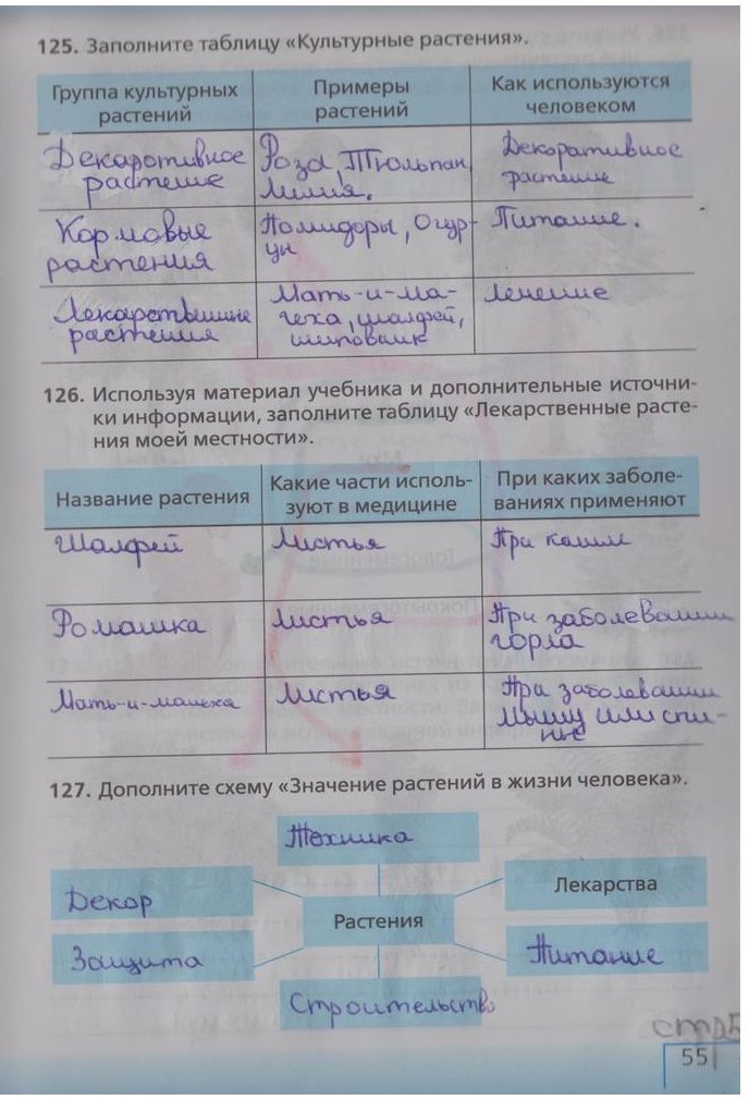 гдз 5 класс рабочая тетрадь страница 55 биология Сонин, Плешаков
