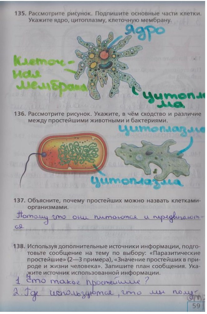 гдз 5 класс рабочая тетрадь страница 59 биология Сонин, Плешаков