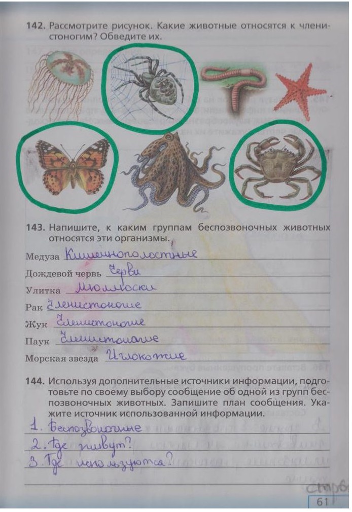гдз 5 класс рабочая тетрадь страница 61 биология Сонин, Плешаков