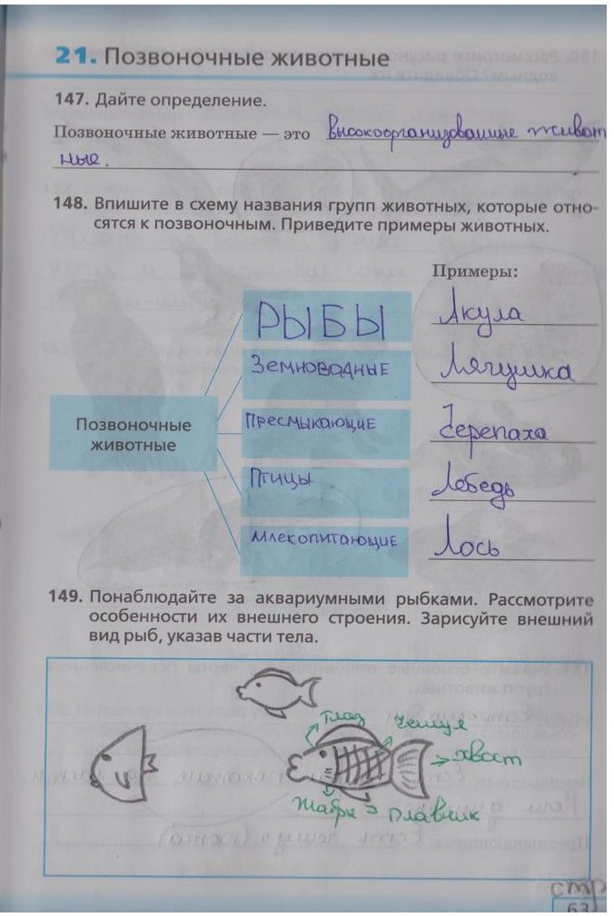 гдз 5 класс рабочая тетрадь страница 63 биология Сонин, Плешаков