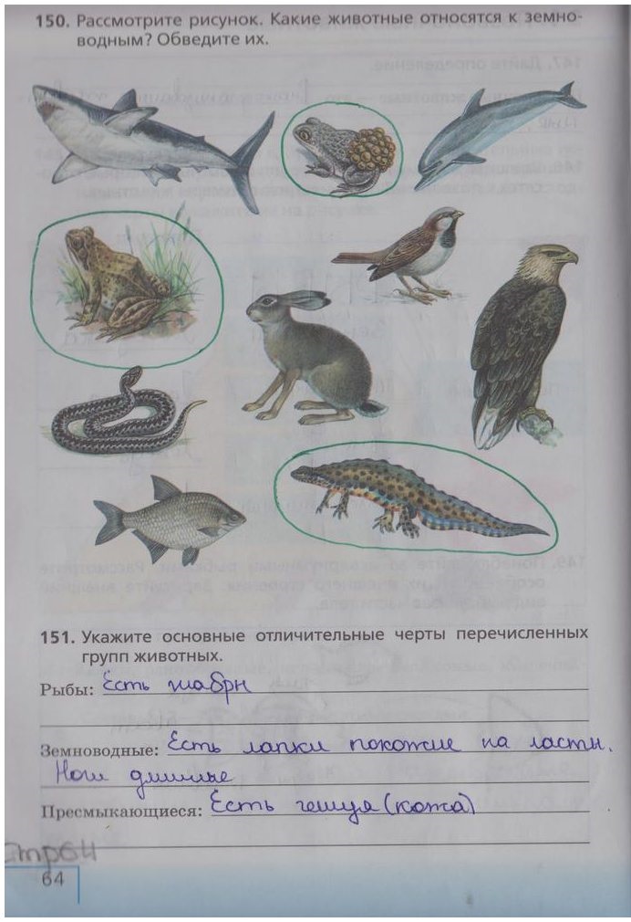 гдз 5 класс рабочая тетрадь страница 64 биология Сонин, Плешаков