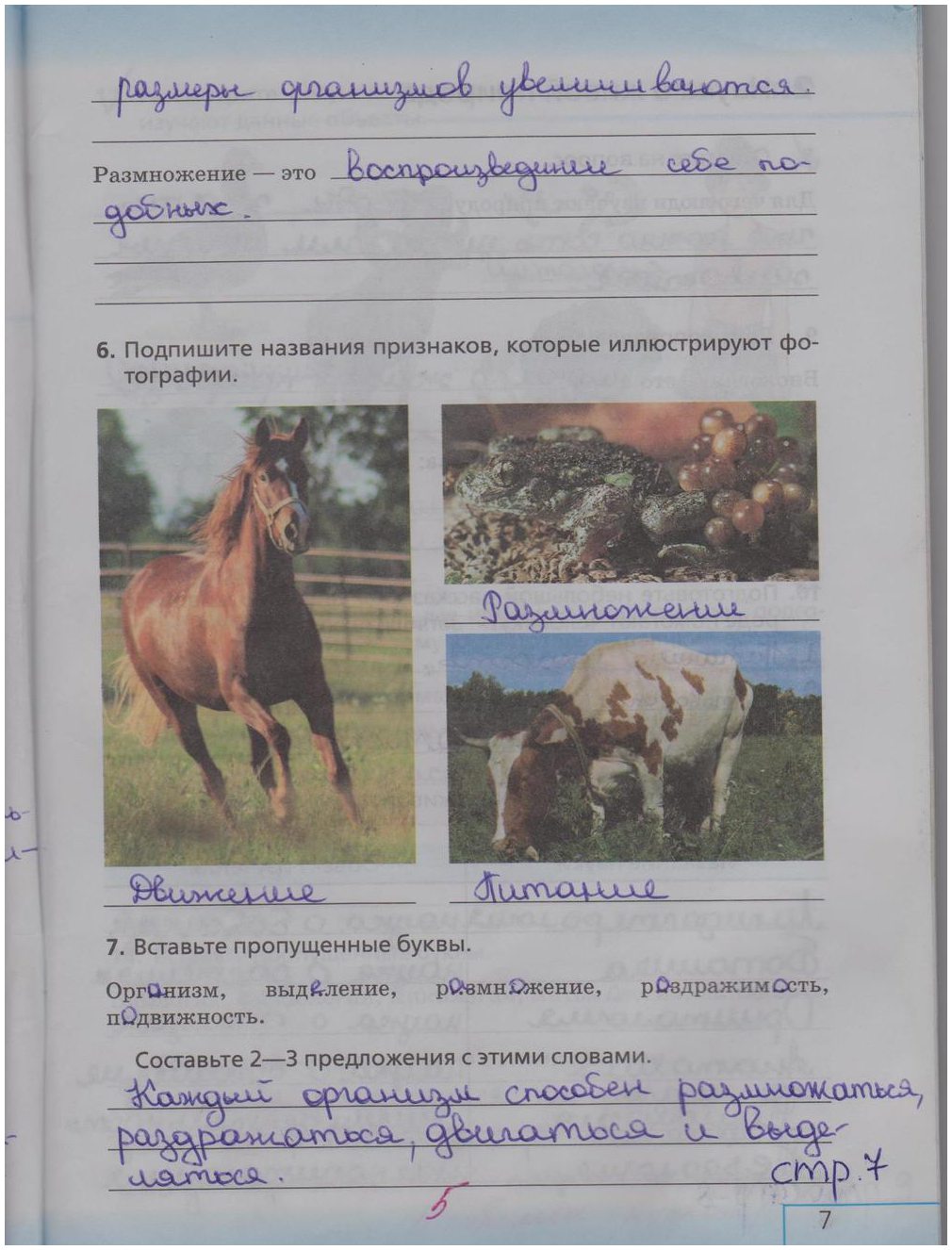 гдз 5 класс рабочая тетрадь страница 7 биология Сонин, Плешаков