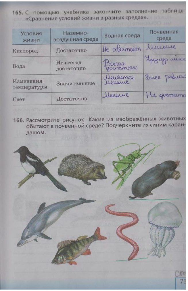 гдз 5 класс рабочая тетрадь страница 73 биология Сонин, Плешаков