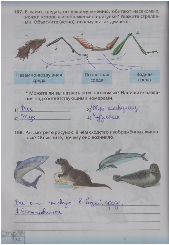 гдз 5 класс рабочая тетрадь страница 74 биология Сонин, Плешаков
