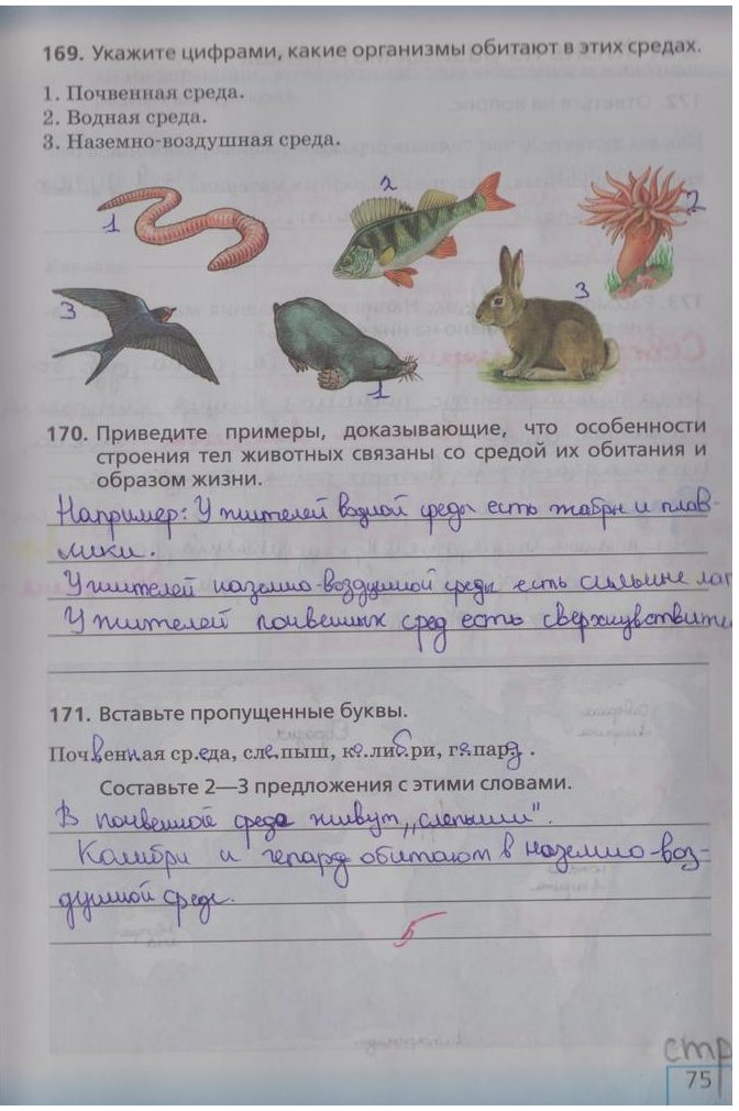гдз 5 класс рабочая тетрадь страница 75 биология Сонин, Плешаков