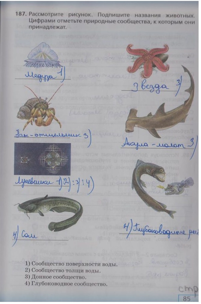 гдз 5 класс рабочая тетрадь страница 85 биология Сонин, Плешаков