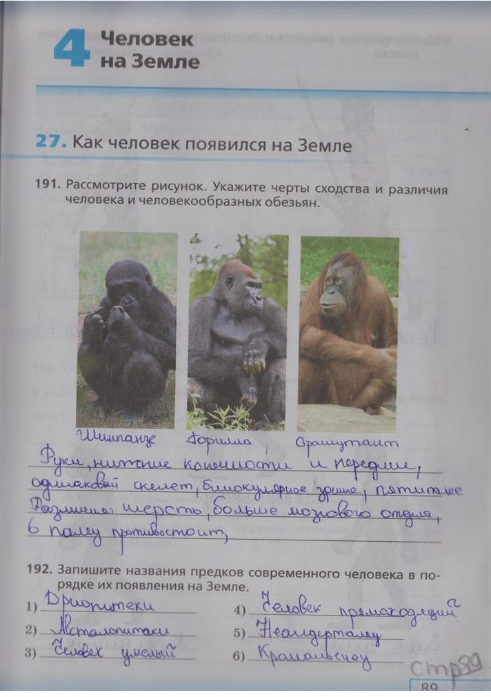гдз 5 класс рабочая тетрадь страница 89 биология Сонин, Плешаков
