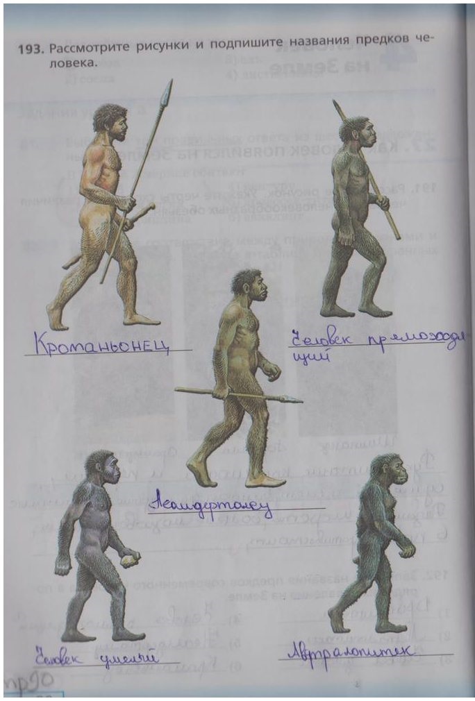 гдз 5 класс рабочая тетрадь страница 90 биология Сонин, Плешаков