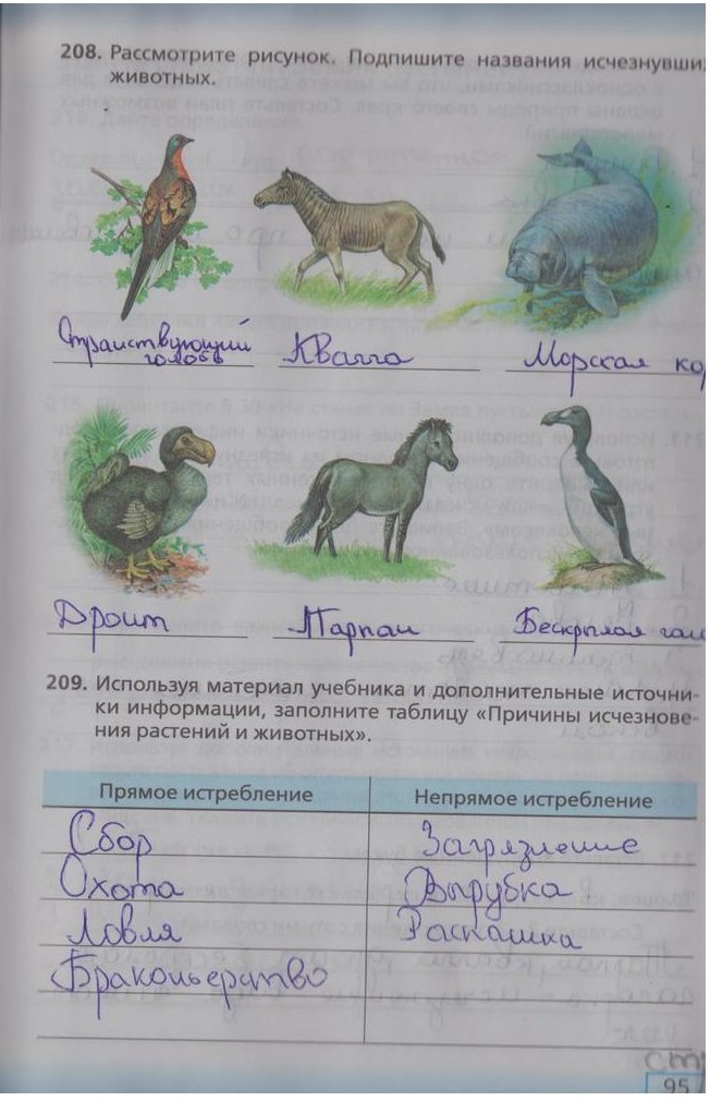 гдз 5 класс рабочая тетрадь страница 95 биология Сонин, Плешаков