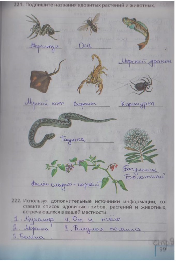 гдз 5 класс рабочая тетрадь страница 99 биология Сонин, Плешаков