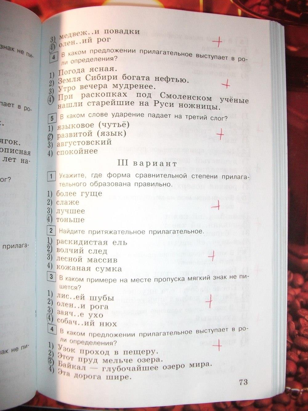 гдз 6 класс тестовые задания страница 73 русский язык Богданова