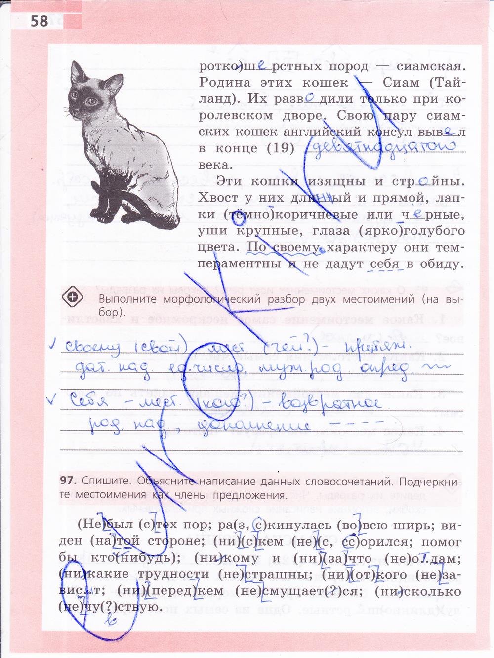 гдз 6 класс рабочая тетрадь страница 58 русский язык Ефремова
