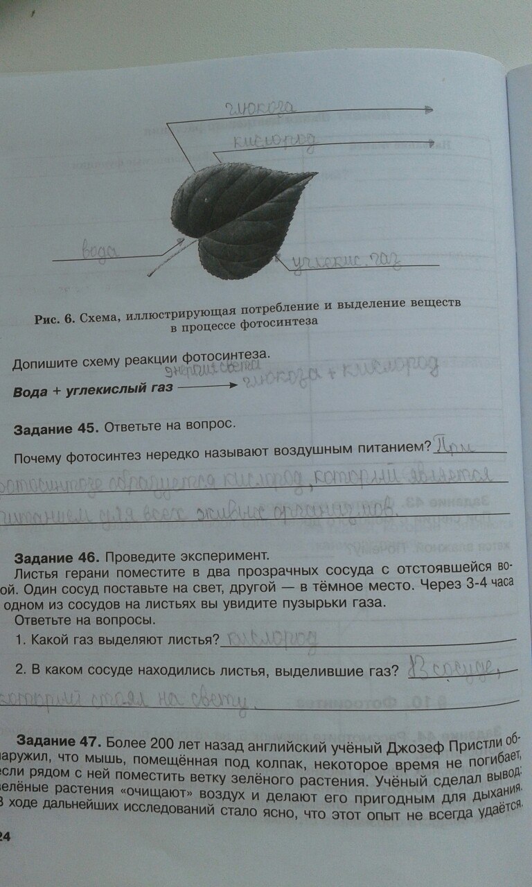 гдз 6 класс рабочая тетрадь страница 24 биология Хрыпова, Житко