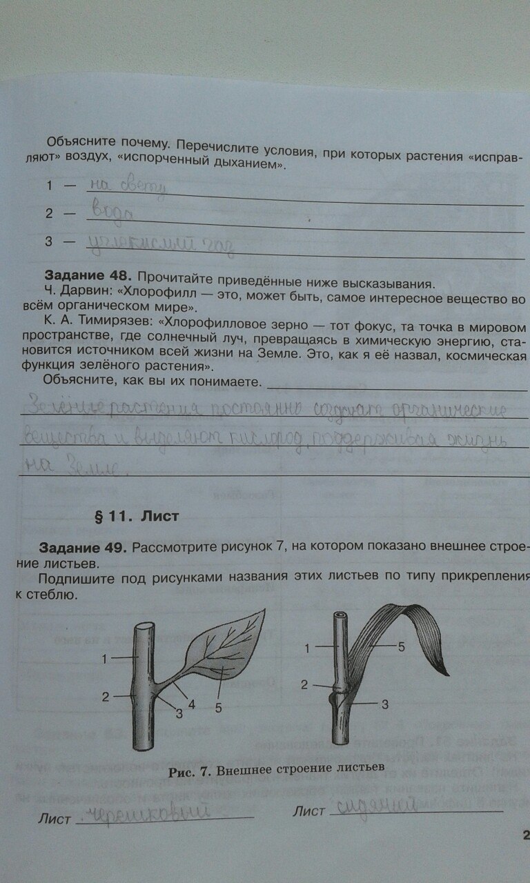 гдз 6 класс рабочая тетрадь страница 25 биология Хрыпова, Житко