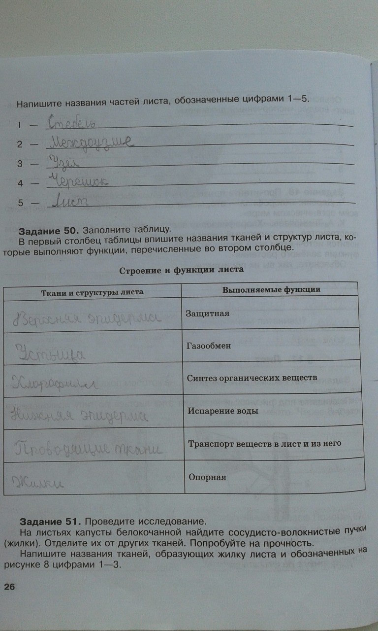 гдз 6 класс рабочая тетрадь страница 26 биология Хрыпова, Житко