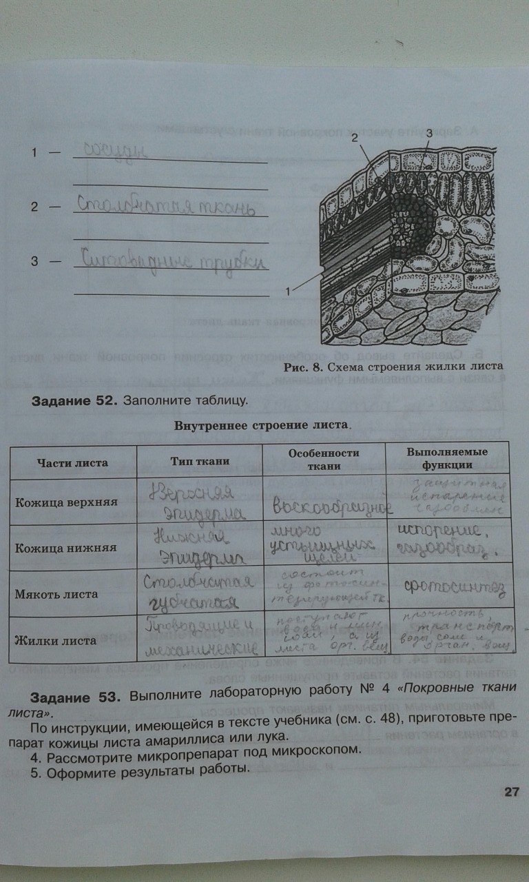 гдз 6 класс рабочая тетрадь страница 27 биология Хрыпова, Житко