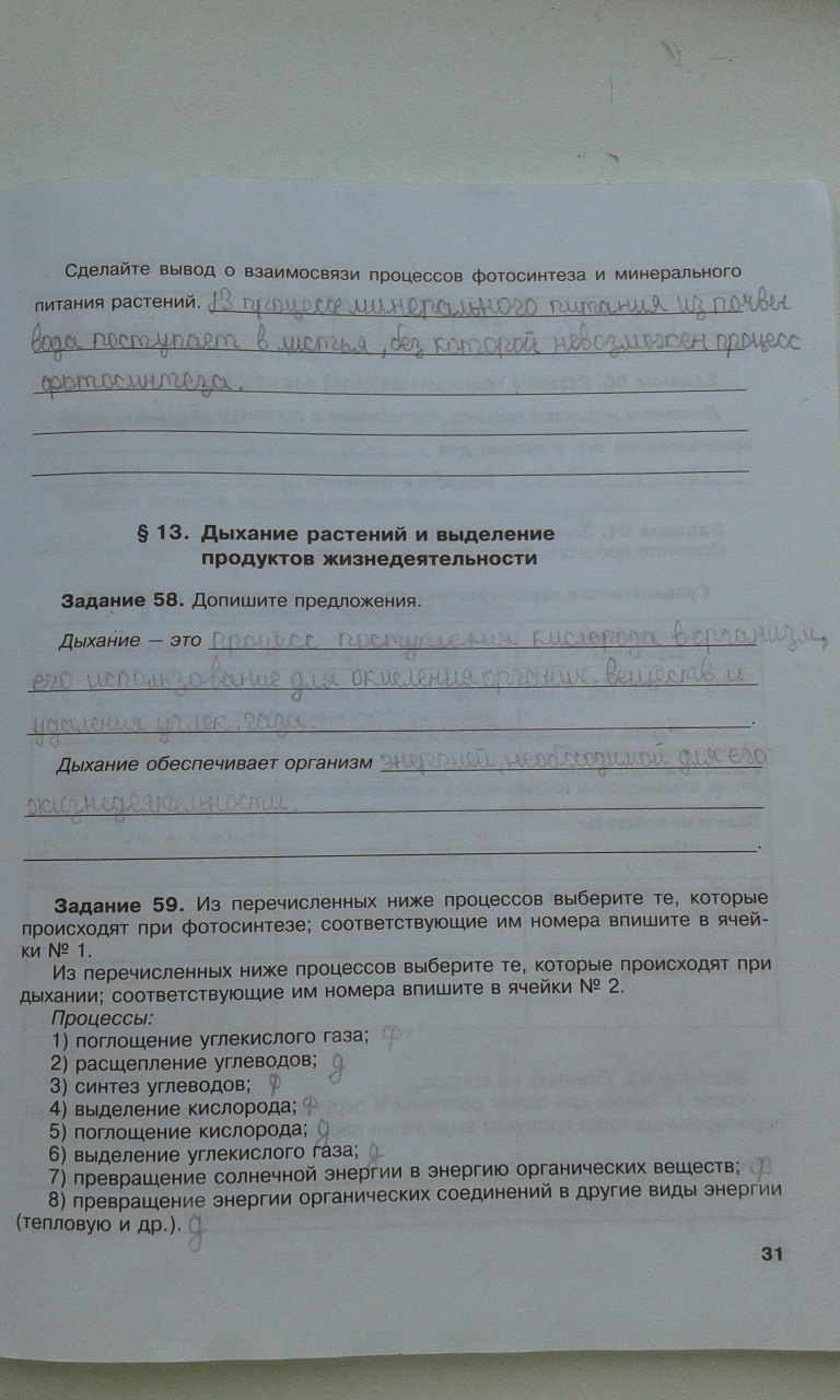 гдз 6 класс рабочая тетрадь страница 31 биология Хрыпова, Житко