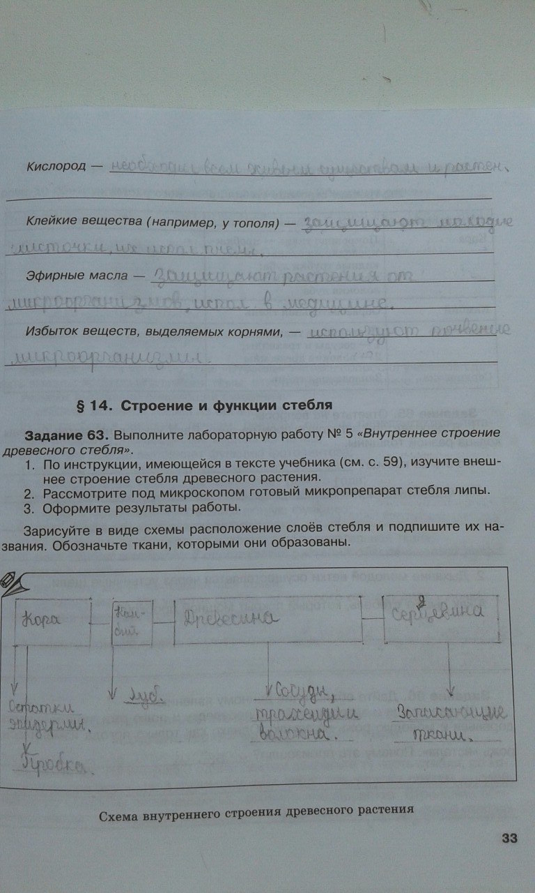 гдз 6 класс рабочая тетрадь страница 33 биология Хрыпова, Житко