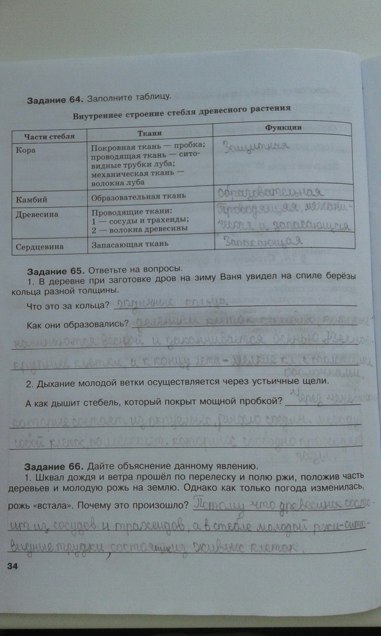 гдз 6 класс рабочая тетрадь страница 34 биология Хрыпова, Житко