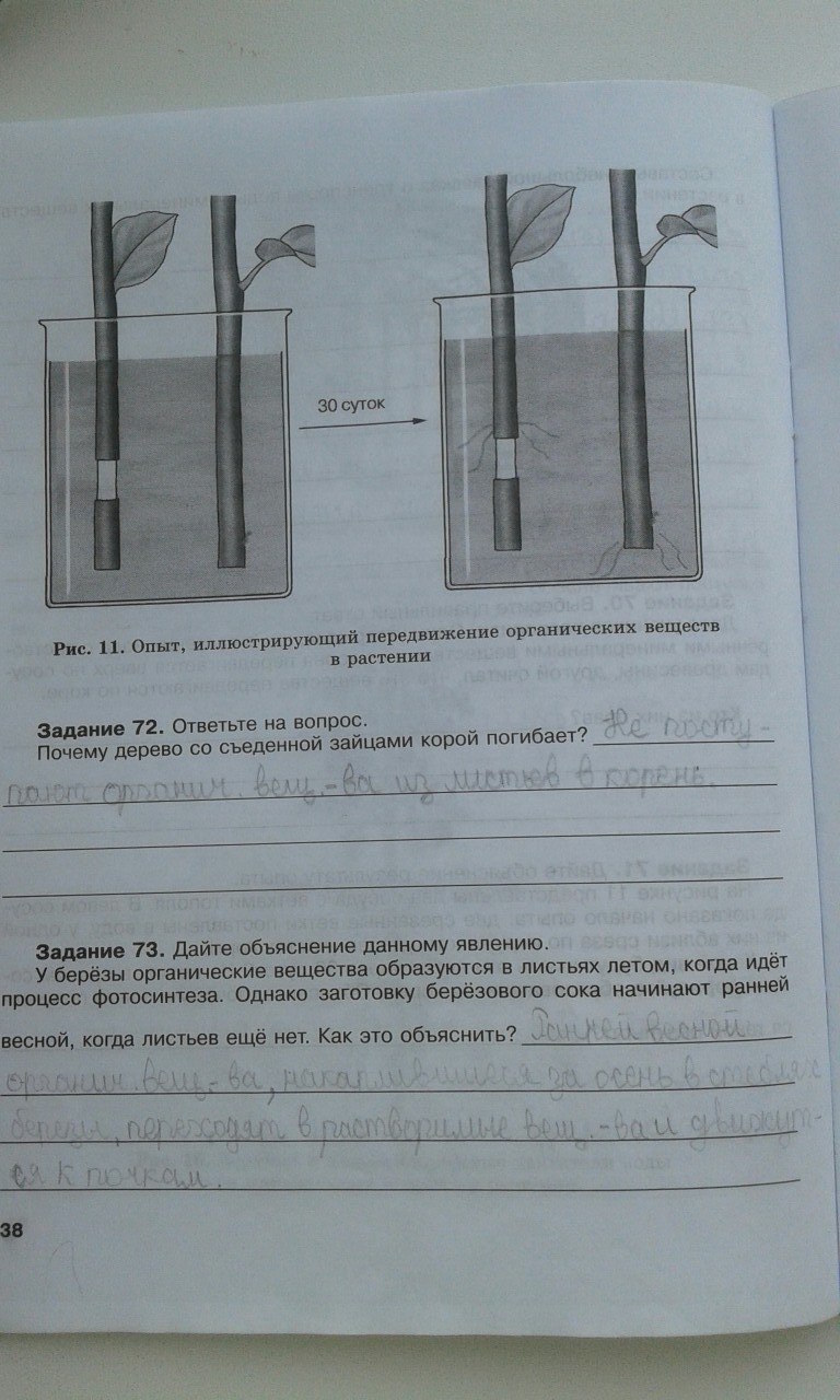 гдз 6 класс рабочая тетрадь страница 38 биология Хрыпова, Житко