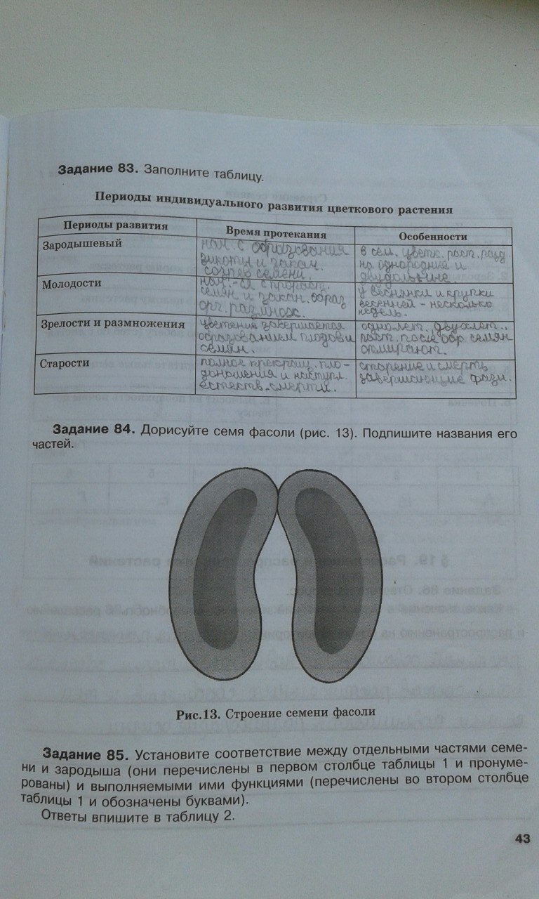 гдз 6 класс рабочая тетрадь страница 43 биология Хрыпова, Житко