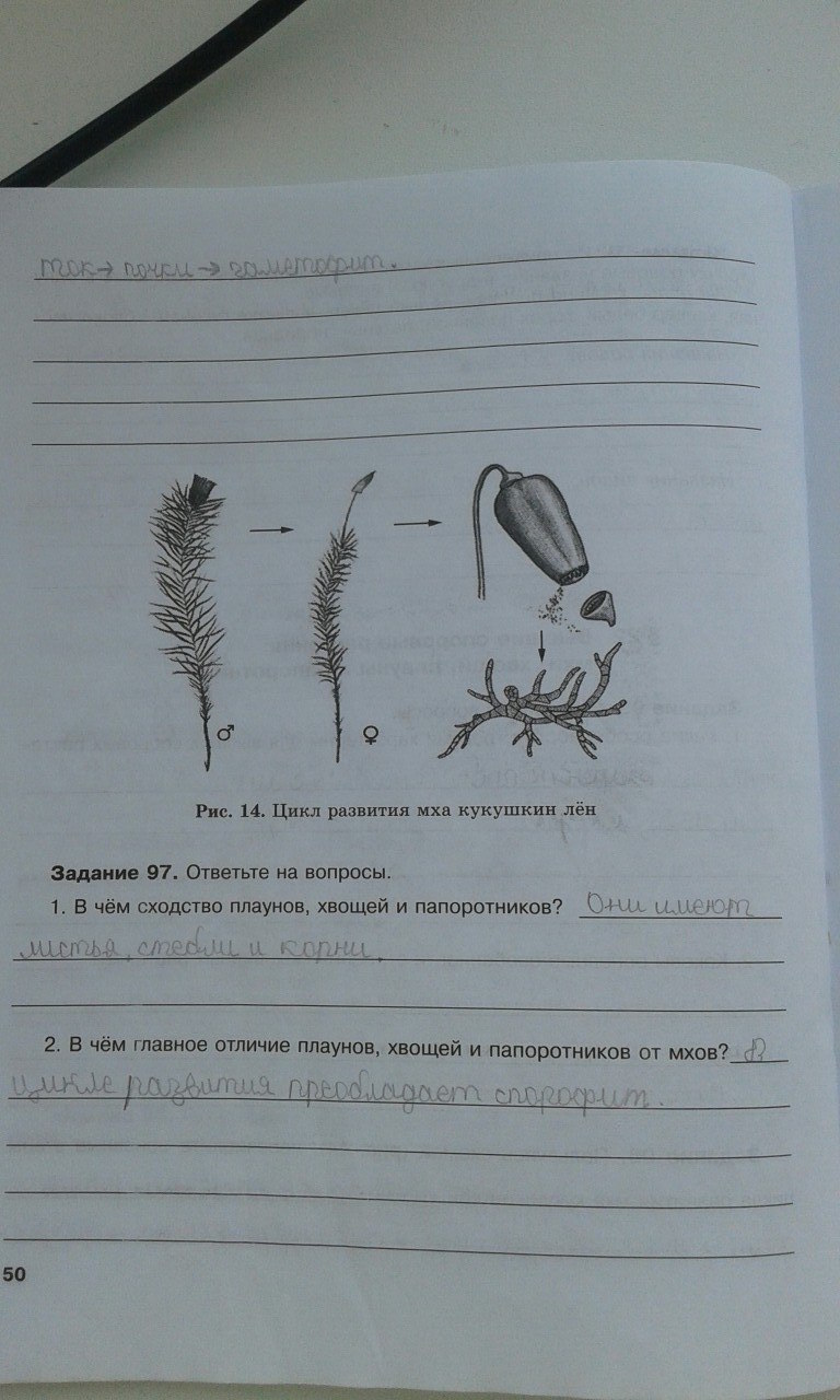 гдз 6 класс рабочая тетрадь страница 50 биология Хрыпова, Житко